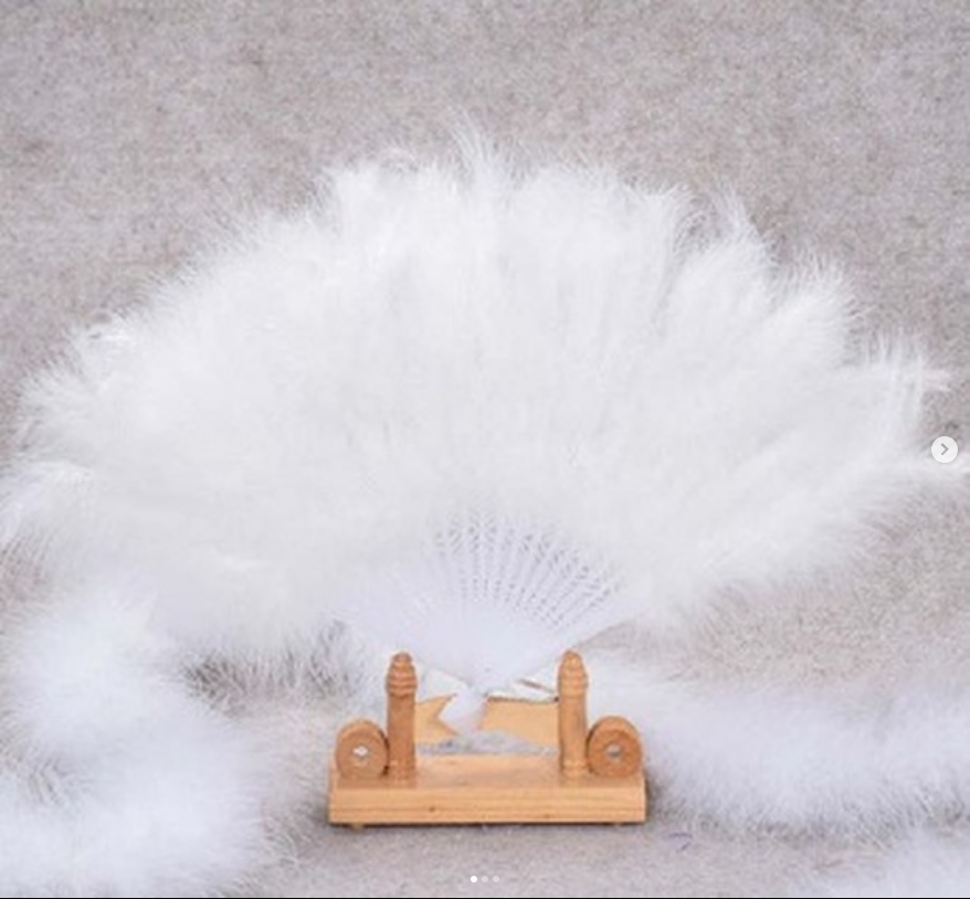 Eventail en plume