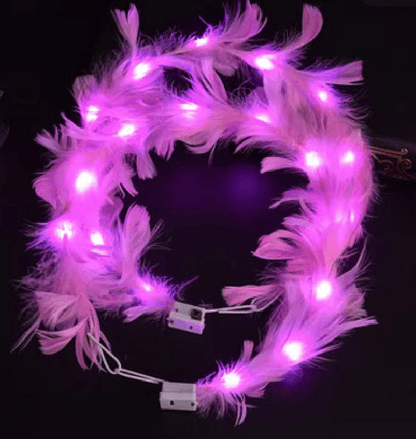 Couronnes en plumes avec LED